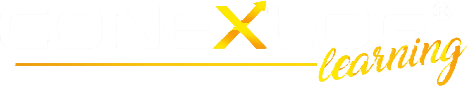 Conexlog 10 Anos